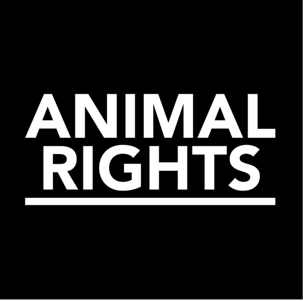 Animal Rights